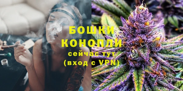 твердый Шадринск