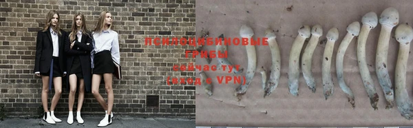 ALPHA-PVP Магадан