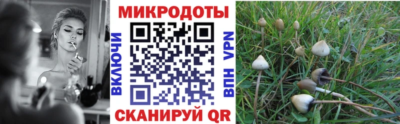 блэк спрут ссылка  Новотитаровская  Псилоцибиновые грибы мухоморы  наркотики 